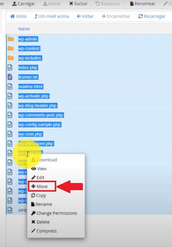 Mover arquivos de Instalação do WordPress para o diretório raiz, através do gerenciador de arquivos do cPanel