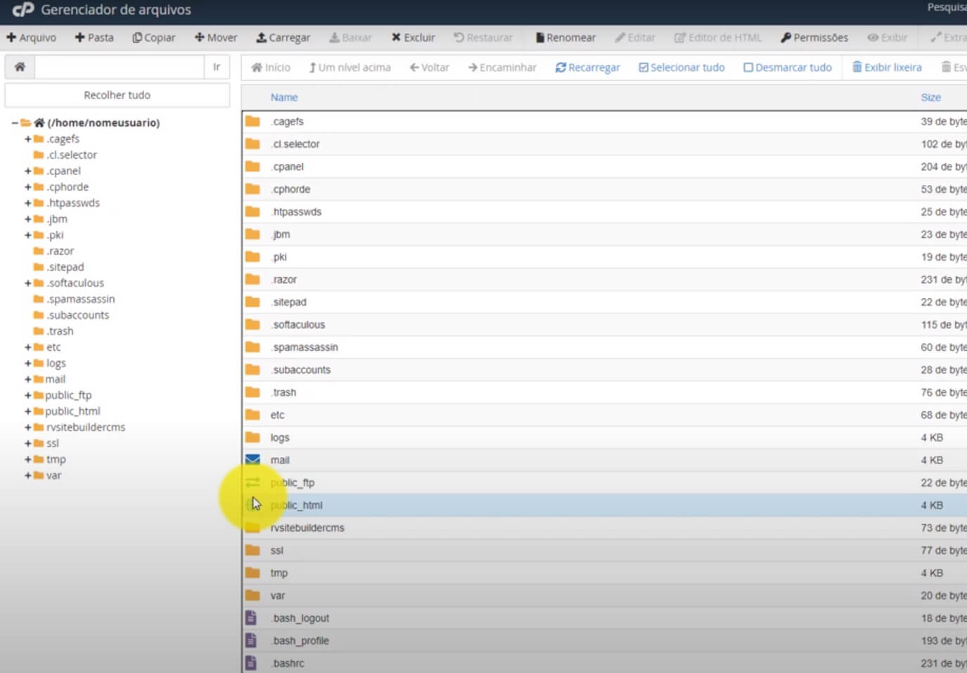 Gerenciado de Arquivos do cPanel