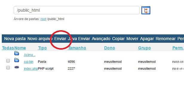 como editar arquvos pelo gerenciador de arquivos 3