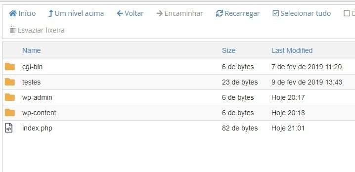 arquivos do wordpress no site