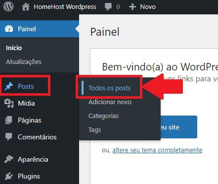 Acessando o Painel de Posts do WP