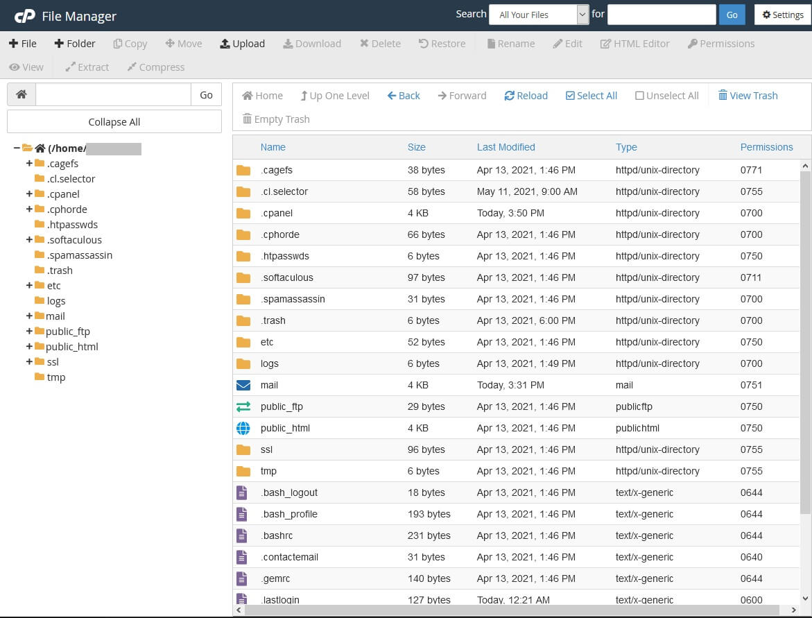 Painel do Gerenciador de Arquivos do cPanel