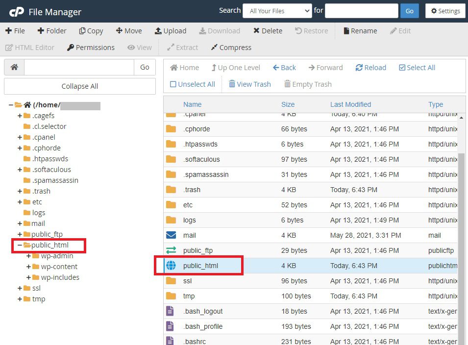 Acessando a Pasta public_html pelo gerenciador de arquivos do cPanel