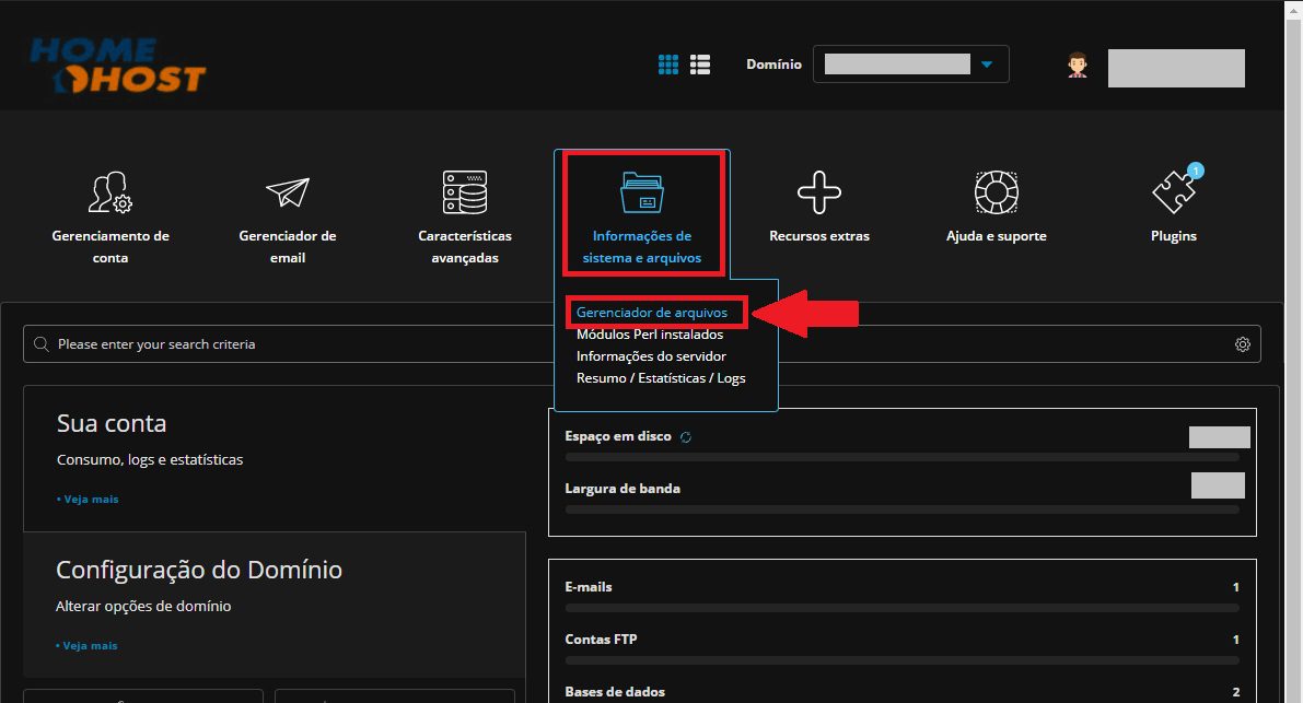 Localizando o Gerenciador de Arquivos no Painel DirectAdmin