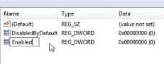 Criando o Registro Enabled para habilitar o TLS 1.2 no Windows