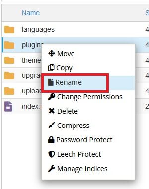 Renomeando a pasta plugins no Gerenciador de arquivos do cPanel para desativar os Plugins do WordPress