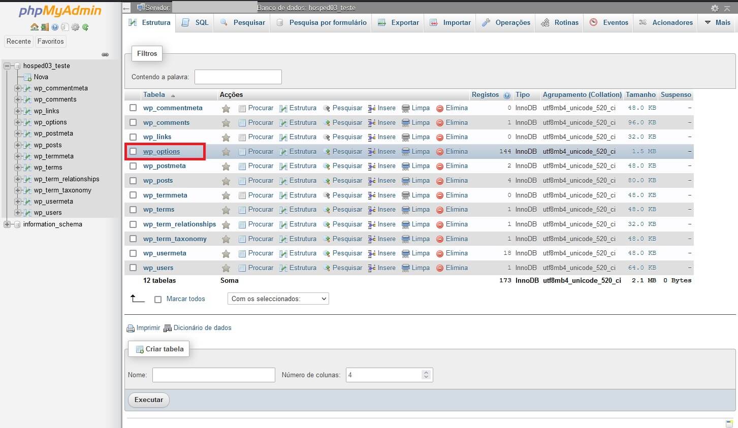Acessando a tabela de opções do WordPress: wp_options
