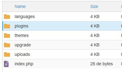 Diretório do WpContent através do Gerenciador de arquivos do cPanel