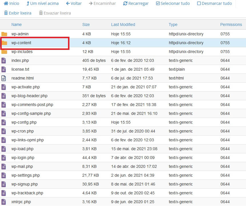 Acessando os conteúdos do WordPress, diretório wp-content através do Gerenciador de arquivos do cPanel