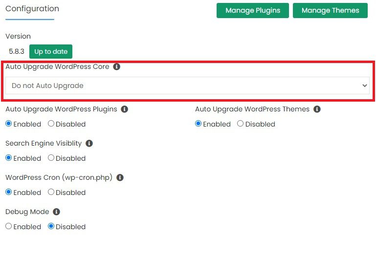 Atualizações Automáticas da Versão do WordPress