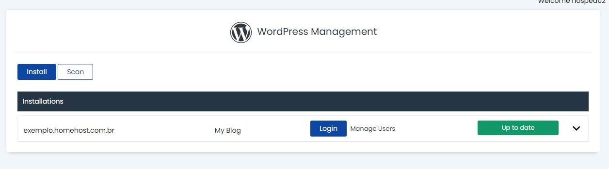 Painel de Controle do WordPress Manager