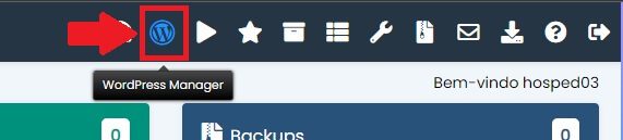 Botão de acesso ao WordPress Manager do Softaculous