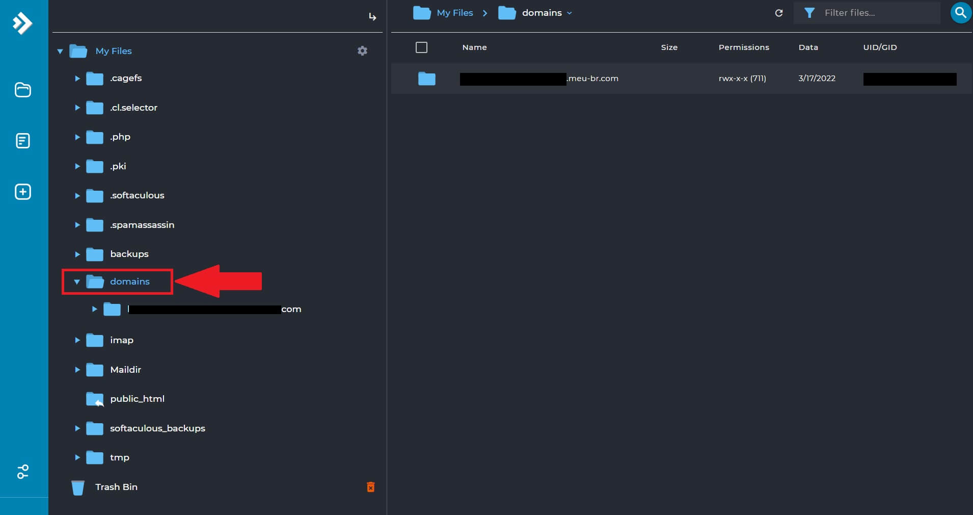 Navegando para dentro do Diretório "domains" no Gerenciador de arquivos do DirectAdmin