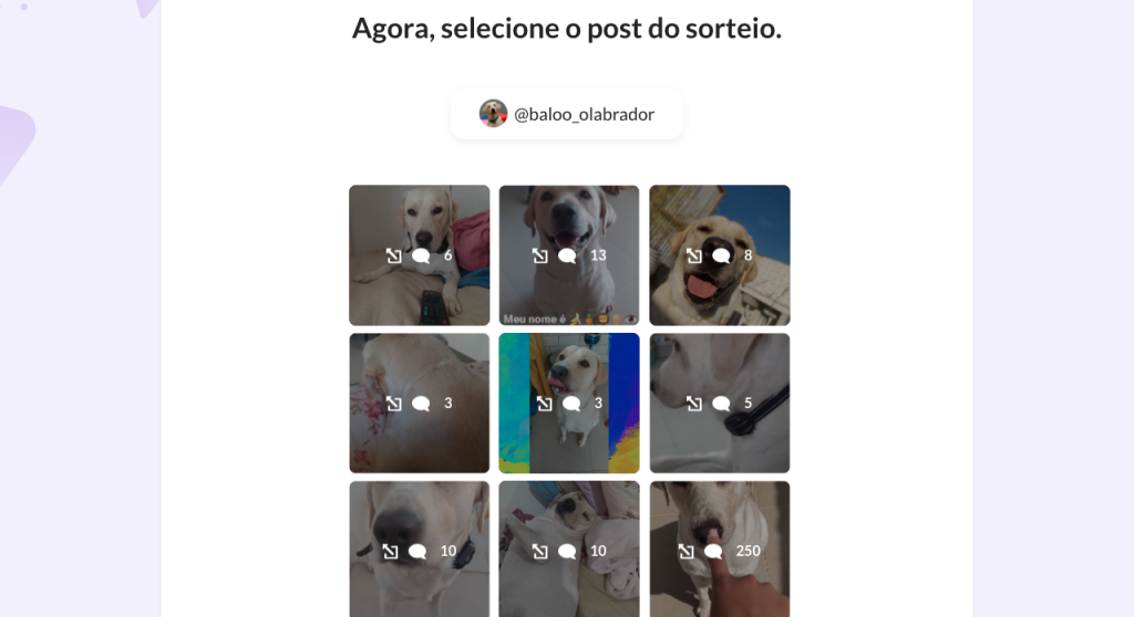 Sorteio Instagram: Passo a passo