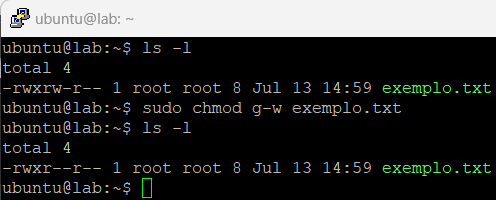 CHMOD: como aplicar permissões no Linux | Homehost