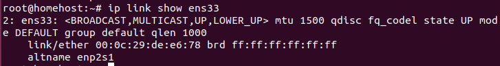 ip link show