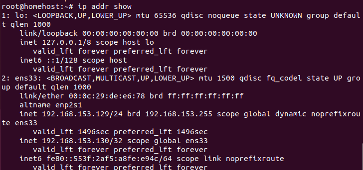 ip addr show