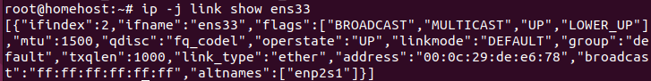 ip link show