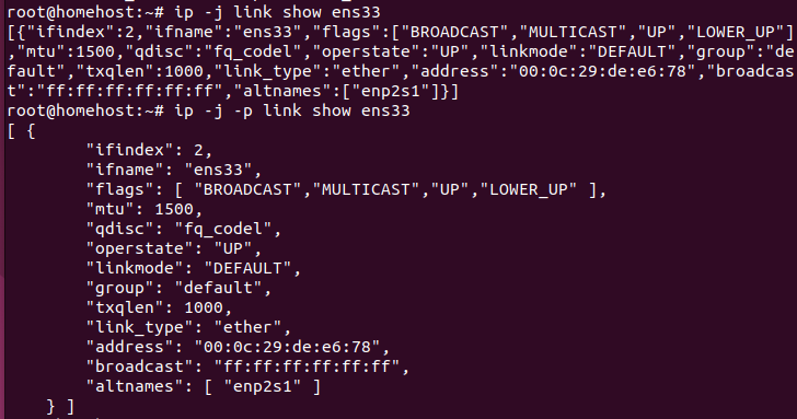 ip link show