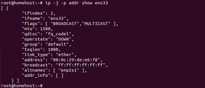 ip addr show