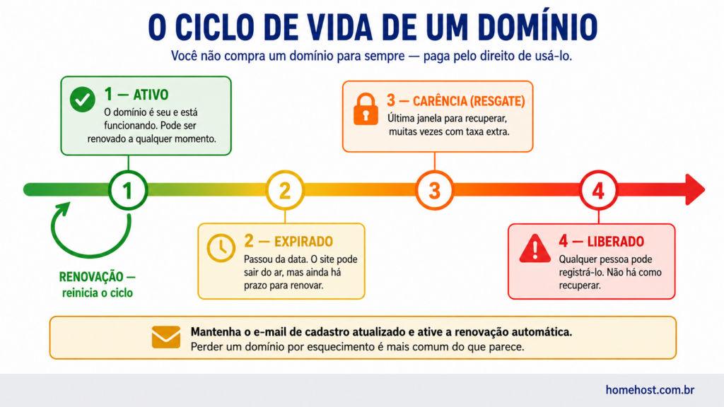 As quatro fases do ciclo de vida de um domínio: ativo, expirado, período de carência e liberado, com a renovação reiniciando o ciclo