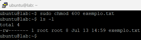 chmod 600