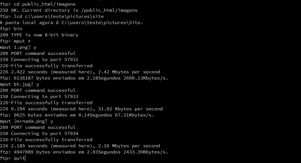 Comandos do FTP utilizados: bin, mkdir, lcd, cd, mput e quit