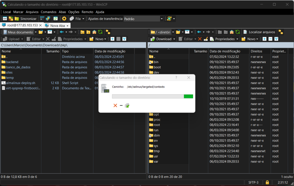 winscp, download de arquivos