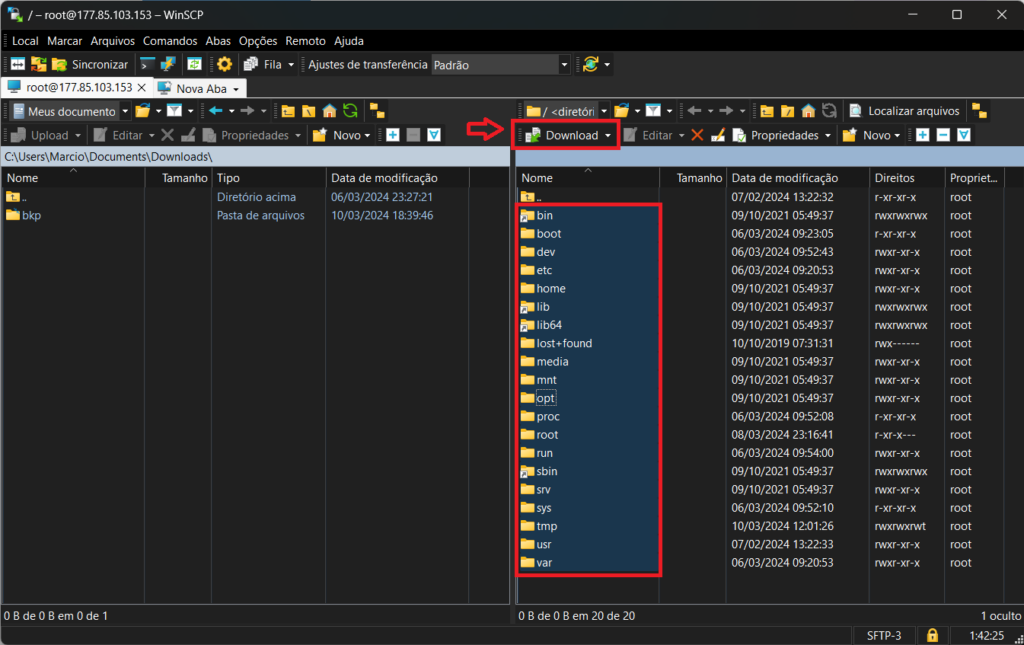 winscp, selecionando arquivos no servidor