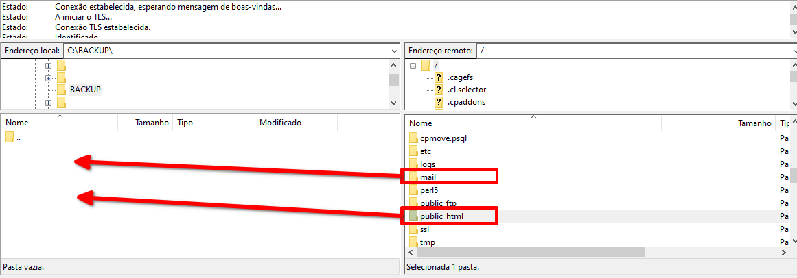 pastas public_html e mail para download do backup