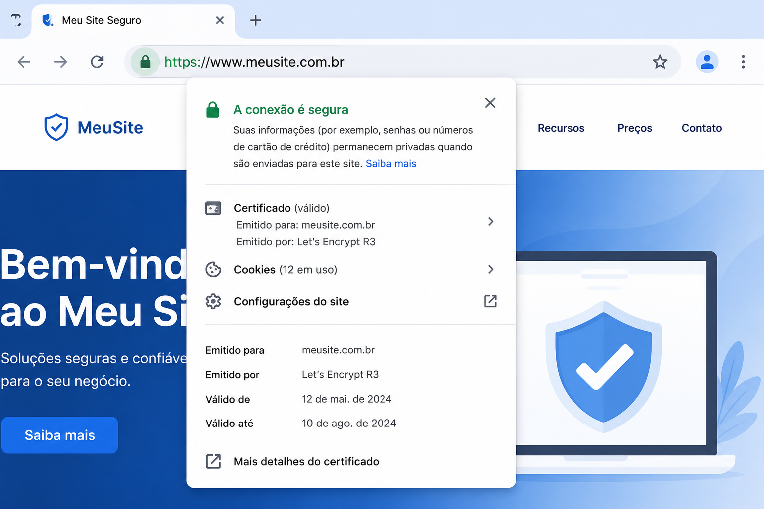 O que é certificado SSL? Como funciona, tipos e como obter o seu | Homehost